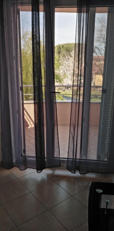 Apartman Valbandon Fažana Εξωτερικό φωτογραφία