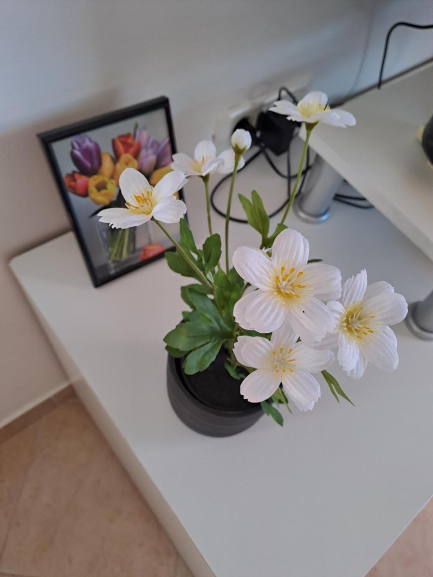 Apartman Valbandon Fažana Εξωτερικό φωτογραφία